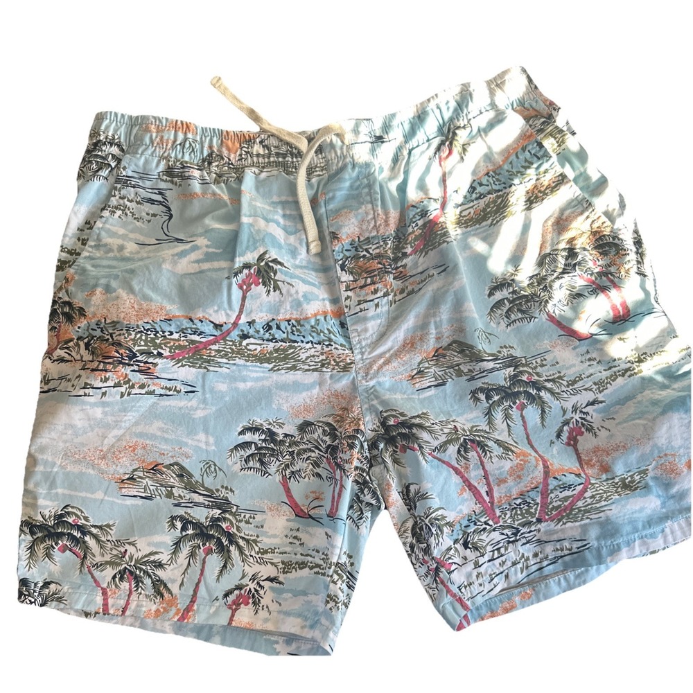 Buckle Artistry In Motion Swim Trunks, XL